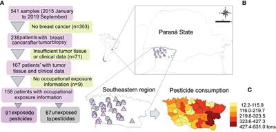 Somatic DNA Damage Response and Homologous Repair Gene Alterations and Its Association With Tumor Variant Burden in Breast Cancer Patients With Occupational Exposure to Pesticides